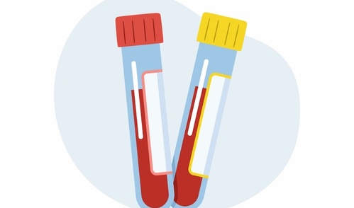 Cartoon illustration of two blood test tubes, one with a red cap and the other with a yellow cap