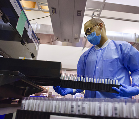 Covid samples being processed at the Broad Institute