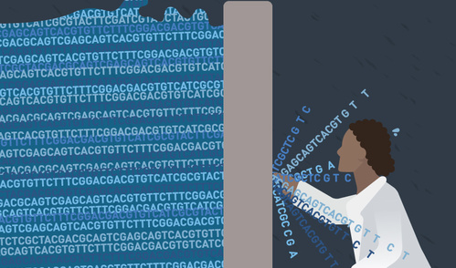 Susanna M. Hamilton, Broad Communications