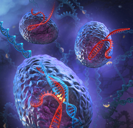 CRISPR-Cas9 system 