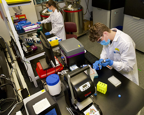 Catie Ramnarine (left) and Ally Day (right) in the Genomics Platform's sequencing lab, which increased the scale and pace of human genome sequencing in 2021.