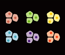 Susanna Hamilton, Broad Communications