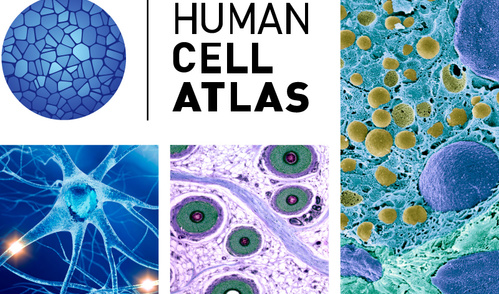 <i>Image by Lauren Solomon, Broad Communications</i>