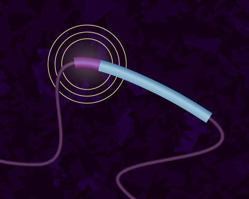 Susanna M. Hamilton, Broad Communications