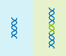 Ricardo Job-Reese, Broad Communications