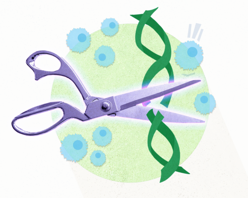 A graphic showing a pair of scissors cutting DNA, overlaid on a green circle, with immune cells nearby.