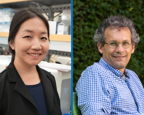 Portraits of Ang Cui and Nir Hacohen.