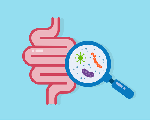 An illustration of a gut under a magnifying glass, showing viruses and bacteria.