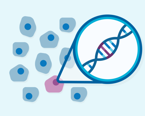 DNA showing a mutation inside cells