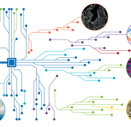 AI in biomedical research