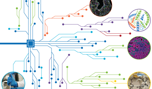 AI in biomedical research