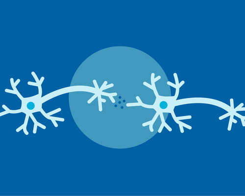 Protein changes at brain cell synapses from patients with schizophrenia were strikingly similar to those from patients with bipolar disorder.