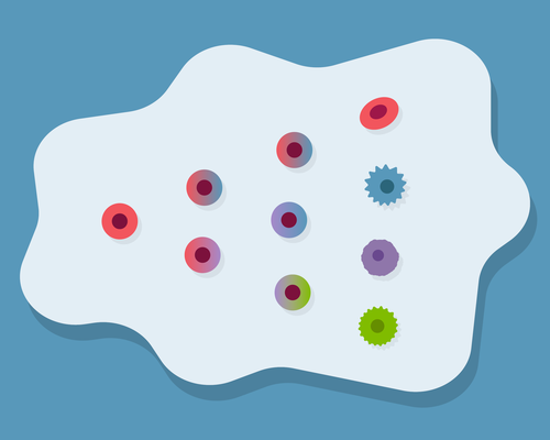 An illustration depicting the development of blood stem cells into more specialized blood cells