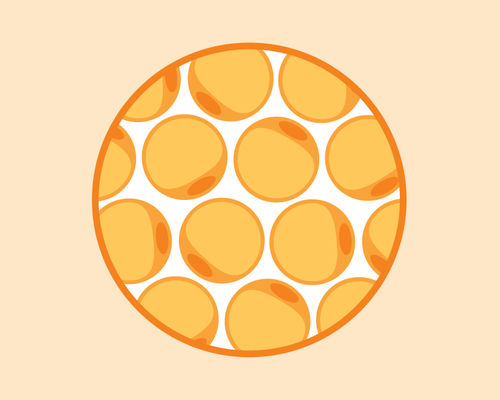 A cartoon illustration depicting adipose cells, also called fat cells, as seen through a microscope.