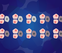 Susanna Hamilton, Broad Communications