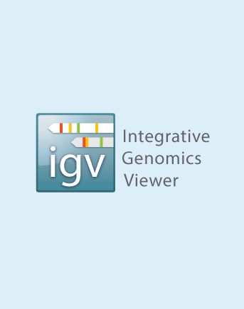 IGV logo
