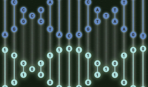 Susanna Hamilton, Broad Communications