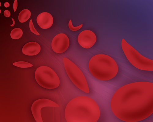 Zayna Sheikh, Broad Communications