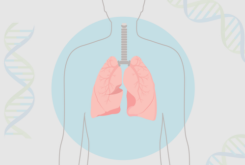 A graphic showing pink lungs highlighted with a blue circle on top of an outline of a human torso, with DNA strands in the background.