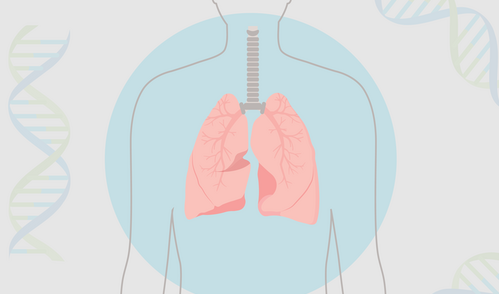 A graphic showing pink lungs highlighted with a blue circle on top of an outline of a human torso, with DNA strands in the background.