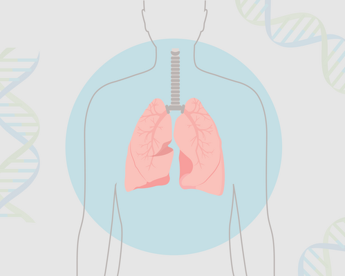 A graphic showing pink lungs highlighted with a blue circle on top of an outline of a human torso, with DNA strands in the background.