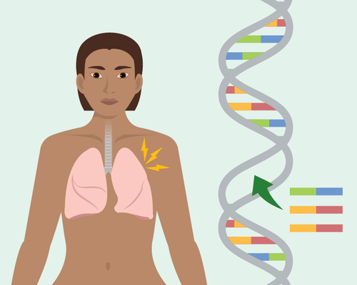 A graphic showing lungs inside a person with cystic fibrosis, and a double helix of DNA showing a three base pair correction.