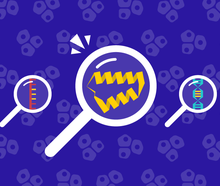 Illustration of three magnifying glasses showing RNA, proteins, and DNA. The magnifying glass showing a protein is emphasized in the center.