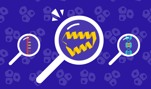 Illustration of three magnifying glasses showing RNA, proteins, and DNA. The magnifying glass showing a protein is emphasized in the center.