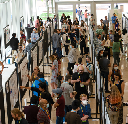 Broadies at the Poster Connect day, looking at posters