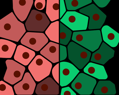 Lauren Solomon, Broad Communications