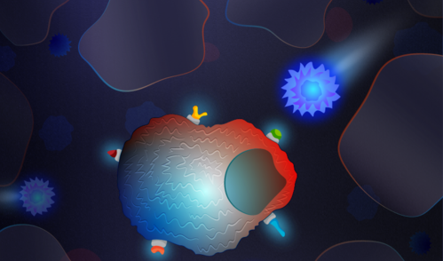 Zayna Sheikh, Broad Communications