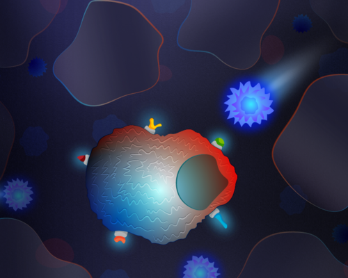 Zayna Sheikh, Broad Communications