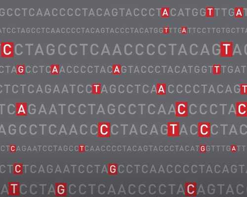 Graphic highlighting different spots in a genetic sequence