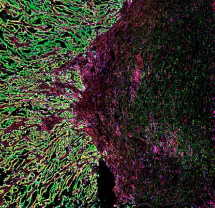 Spatial technologies