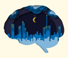 Zayna Sheikh, Broad Communications