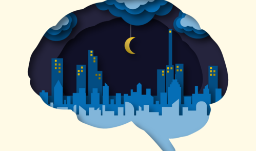 Zayna Sheikh, Broad Communications