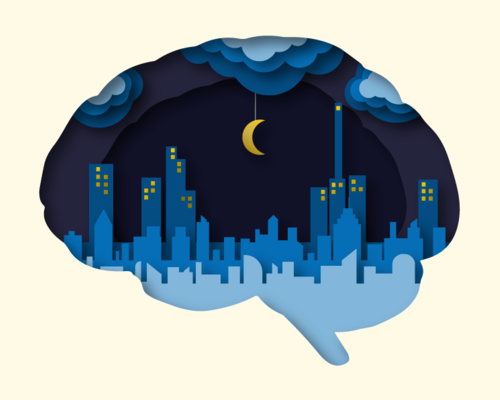 Zayna Sheikh, Broad Communications