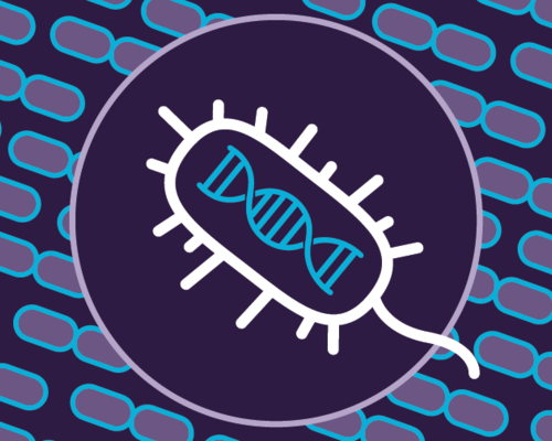 A graphic showing DNA inside bacteria.