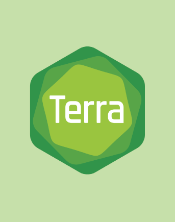 Terra logo