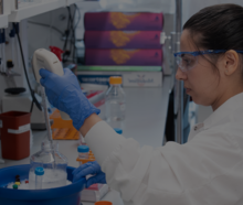 Hakimeh Ebrahimi-Nik prepares samples in the lab.